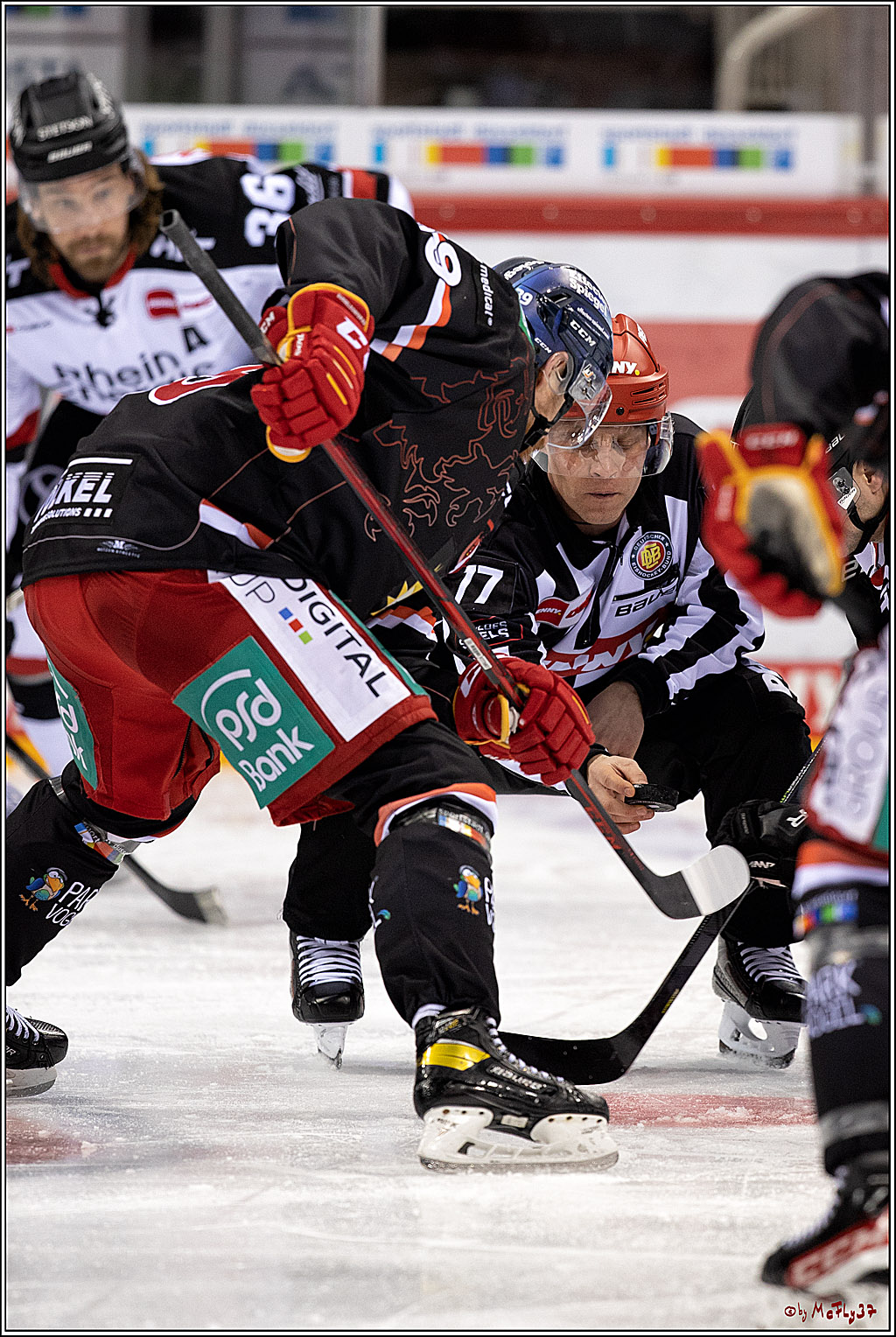 PENNY DEL; Duesseldorfer EG - Koelner Haie; Duesseldorf, 23.01.2022